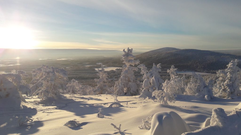 Kuva lumisesta maisemasta Luostolla